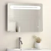 650 X 500mm LED Illuminated Mirror Incl. Touch Sensor + Anti-Fog 2 650 X 500mm LED Illuminated Mirror Incl. Touch Sensor + Anti-Fog -Modern Bathroom Shop 65x5mir l