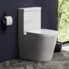 Arezzo BTW Close Coupled Toilet + Soft Close Seat 1 Arezzo BTW Close Coupled Toilet + Soft Close Seat -Modern Bathroom Shop arzbtwcc lrg1