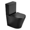 Arezzo Matt Black BTW Close Coupled Toilet + Soft Close Seat -Modern Bathroom Shop arzbtwccmb detail05
