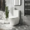 Arezzo Space Saving Combined Two-In-One Wash Basin + Rimless Toilet -Modern Bathroom Shop azcc2in1 d4