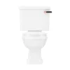 Arezzo Traditional Toilet With Rose Gold + Matt Black Lever -Modern Bathroom Shop aztccrb detail3