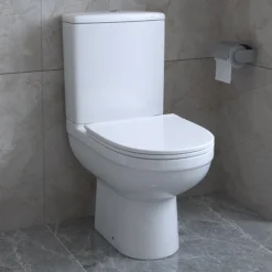 Ringo Rimless Modern Toilet -Modern Bathroom Shop rgcct lrg