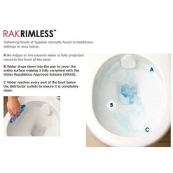 RAK Moon Rimless Wall Hung Pan + Soft-Close Seat -Modern Bathroom Shop rstbtwpansc d1 3