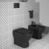 Ideal Standard Tesi Silk Black AquaBlade Back To Wall WC + Soft Close Seat 1 Ideal Standard Tesi Silk Black AquaBlade Back To Wall WC + Soft Close Seat -Modern Bathroom Shop tesbbtwsc d4